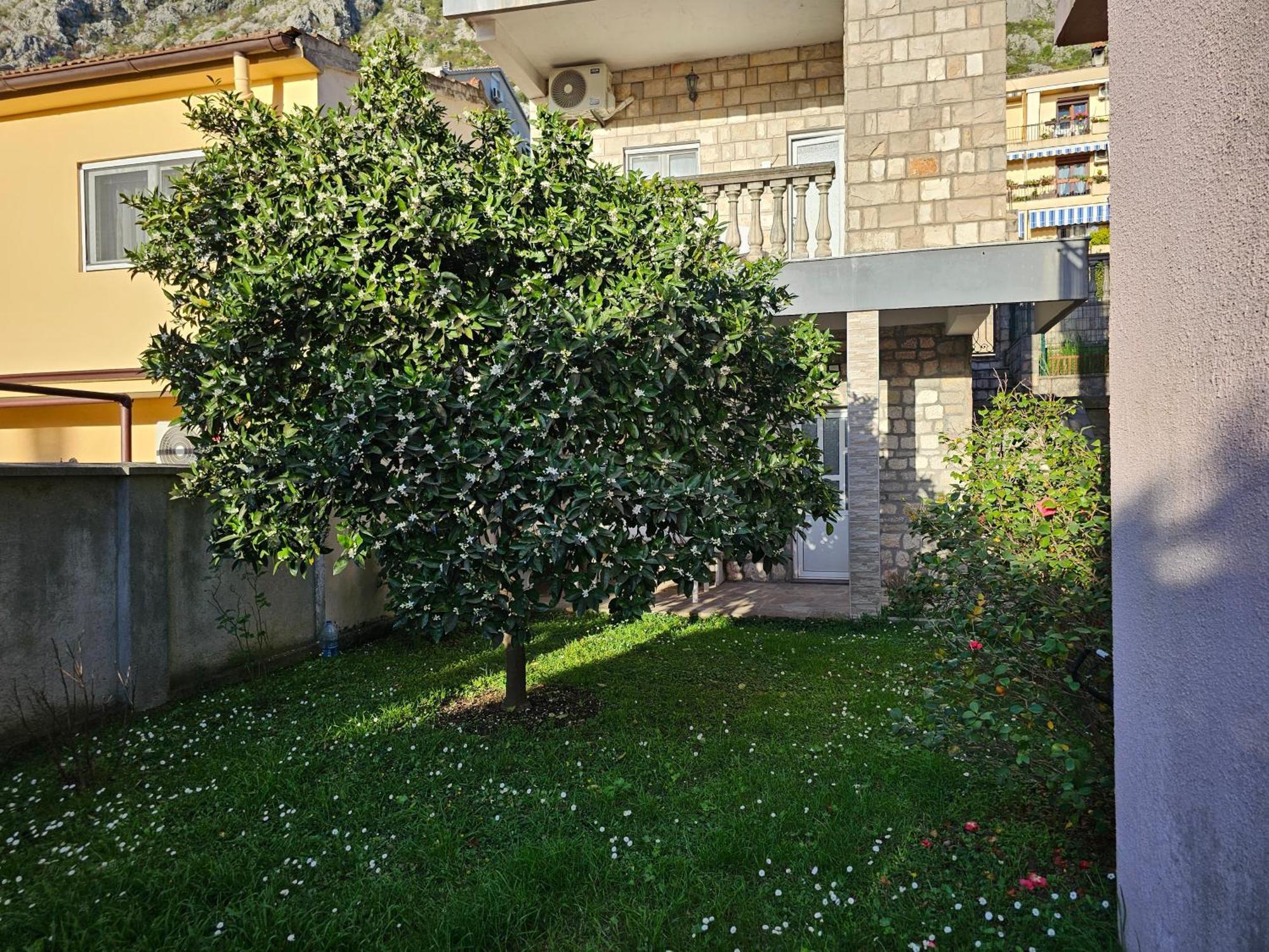 Modern Seaside Escape - Stunning Sea View - Private & Stylish Apartment Kotor Bagian luar foto